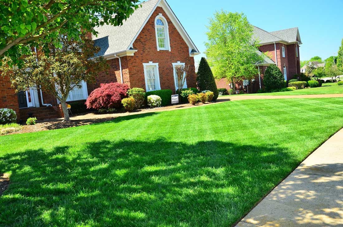 Spring lawn maintenance tips